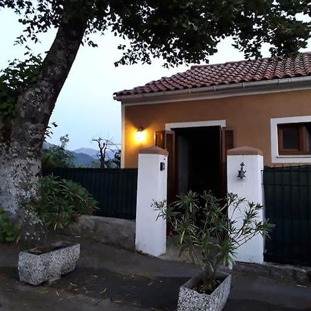 Petit Coin De Paradis Evisa Esterno foto