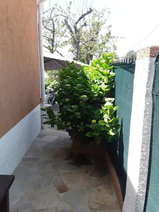 Petit Coin De Paradis Evisa Esterno foto