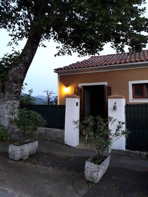 Petit Coin De Paradis Evisa Esterno foto